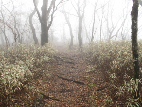 20181205hike (126)